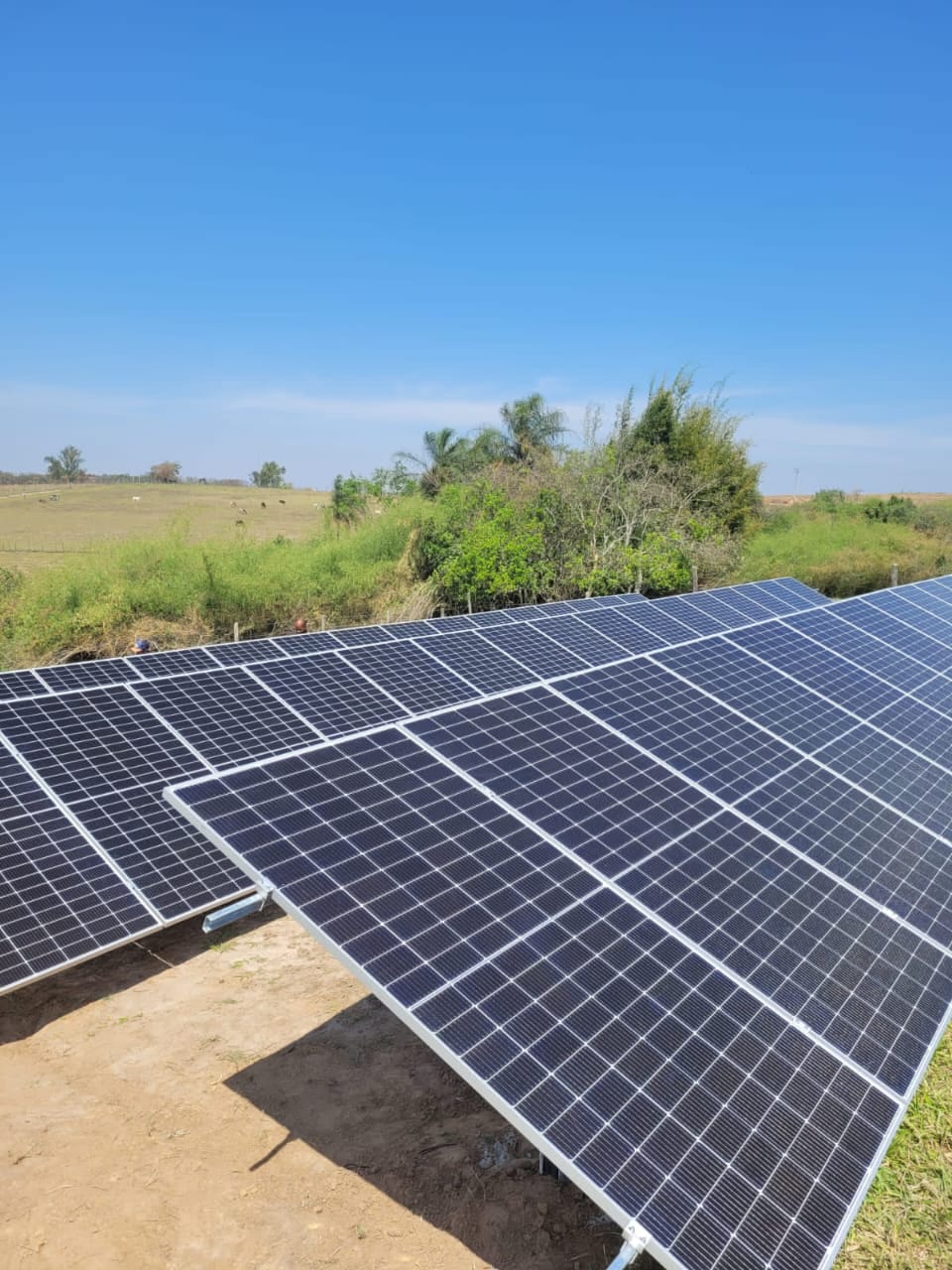 WhatsApp Image 2025-10-31 at 11.23.41 (1)